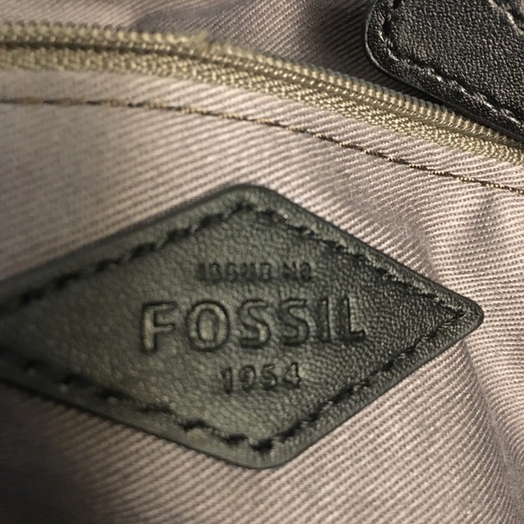 Fossil - Picture 4 of 6